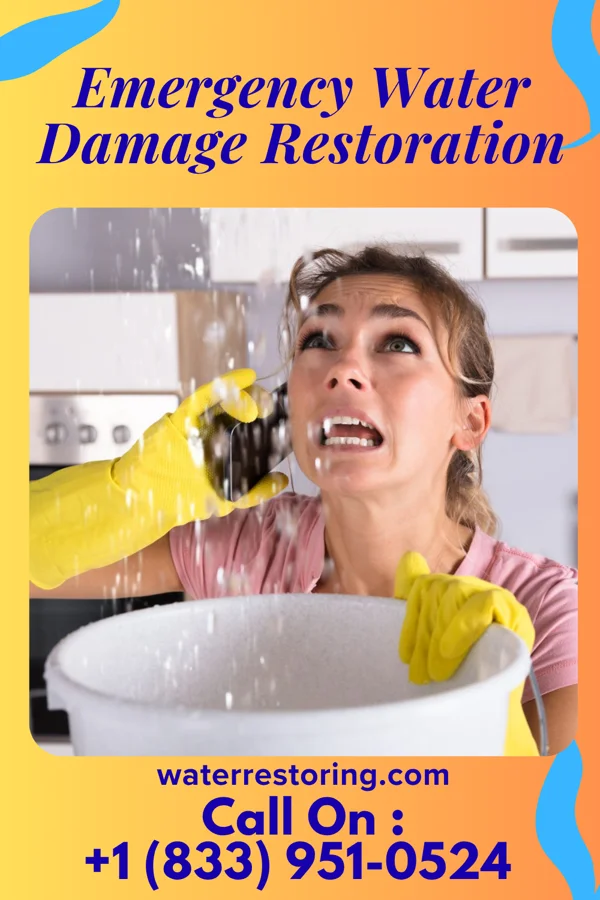 Emergency Water Damage Restoration in Port Royal, SC